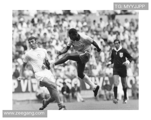 十年风云足球明星的辉煌历程与传奇瞬间回顾