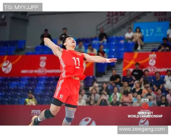 重庆排球队实力强劲荣登全国排球实力排行榜第七名